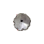 Immagine di PAL0020